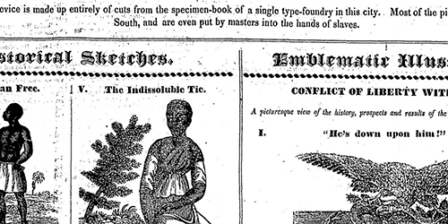 Nineteenth Century U.S. Newspapers (Primary Sources)
